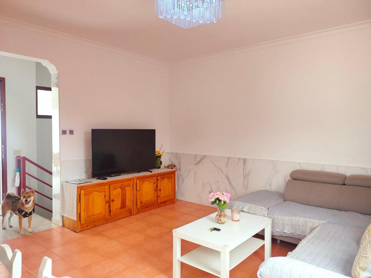 Big Villa Puerto Rico Streetfront With Private Saltwater Jacuzzi Pool, Bbq, Kitchen & 3 Terraces Near Shopping Center Puerto Rico (Gran Canaria) Luaran gambar